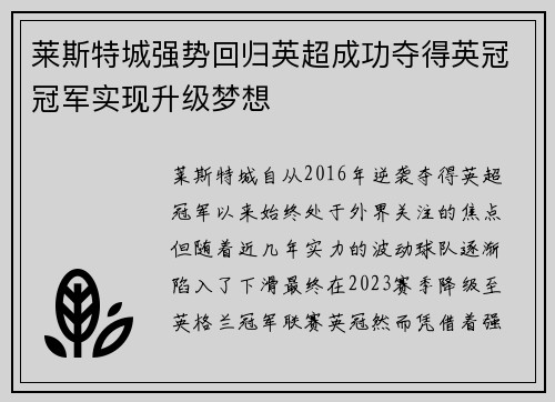 莱斯特城强势回归英超成功夺得英冠冠军实现升级梦想 莱斯特城强势回归英超成功夺得英冠冠军实现升级梦想